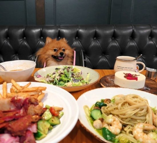 新竹寵物友善餐廳 新竹寵物友善餐廳