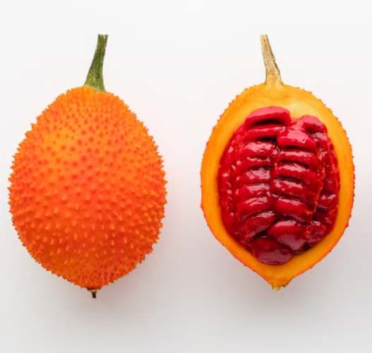 木鱉果油膠囊 功效 木鱉果油膠囊 功效