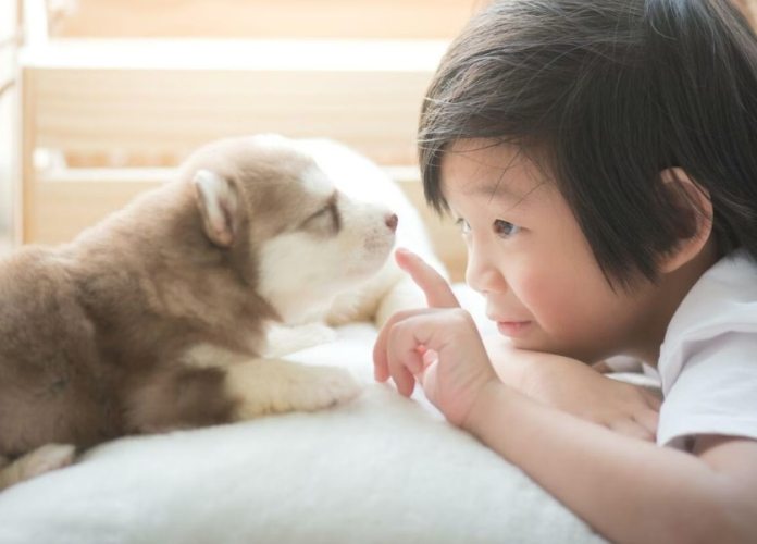 寵物魚油推薦 寵物魚油推薦