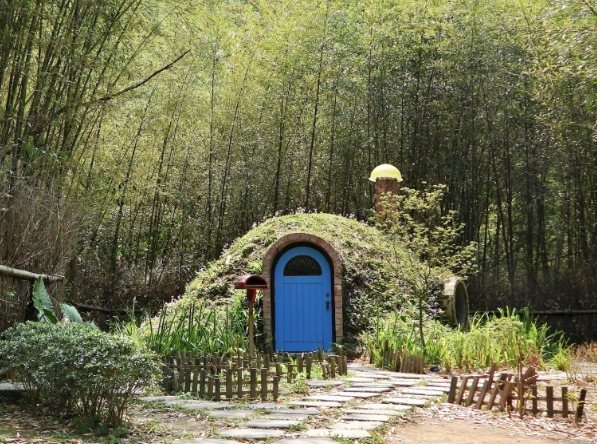 茶樹森林旅遊 茶樹森林旅遊