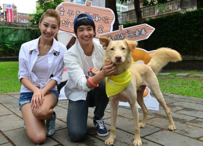 流浪狗認養流程 流浪狗認養流程