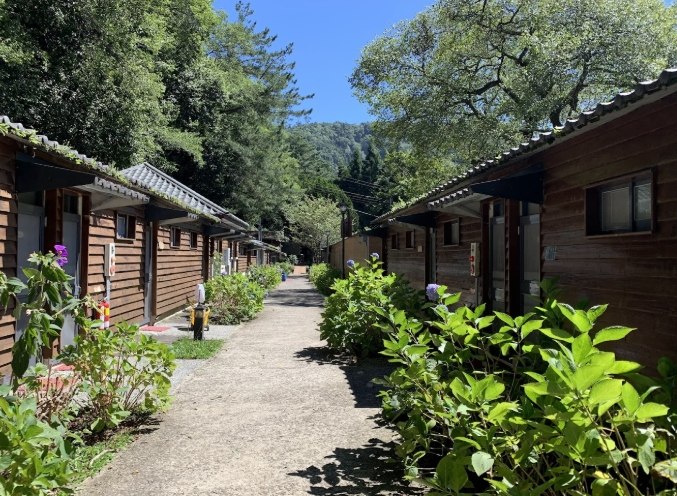 觀霧山莊景點 觀霧山莊景點