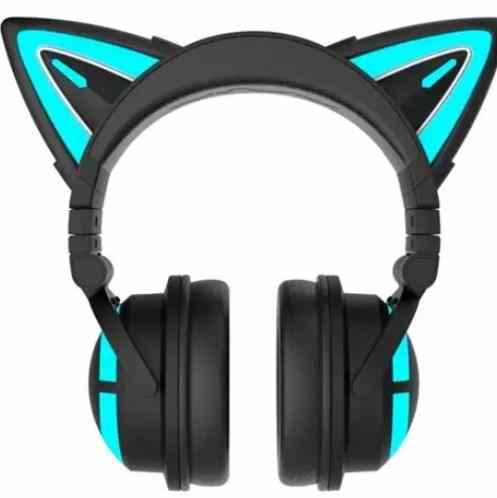 貓耳清潔 貓耳清潔