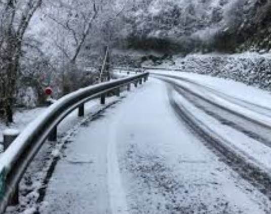 陽金公路景點 陽金公路景點