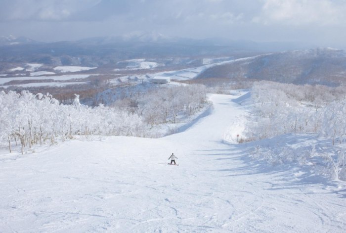 北海道滑雪場推薦 北海道滑雪場推薦