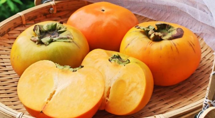 台灣甜柿 台灣甜柿