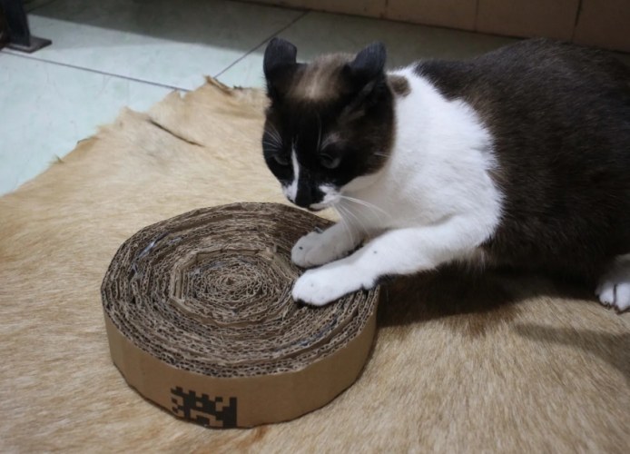 貓咪照顧指南 貓咪照顧指南