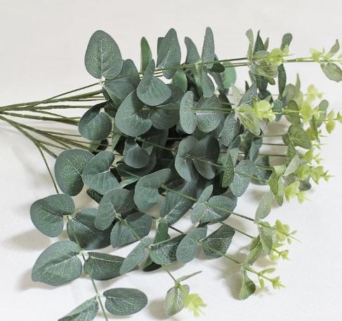 尤加利香薰好處 尤加利香薰好處