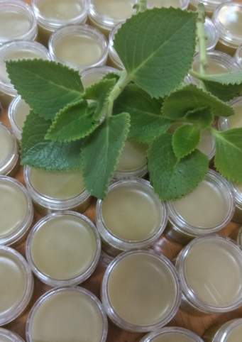 濕疹天然療法 濕疹天然療法