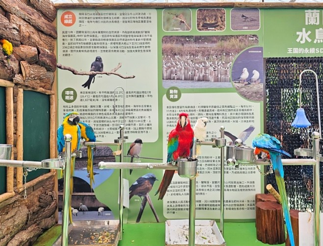 宜蘭室內動物園 宜蘭室內動物園