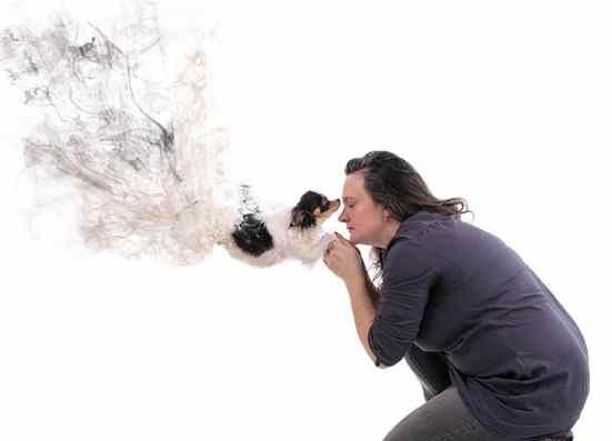 寵物離世溝通 寵物離世溝通