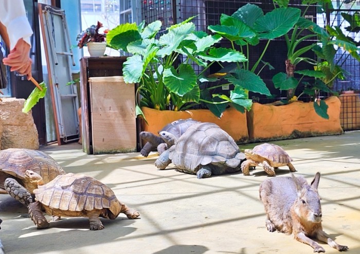 宜蘭室內動物園 宜蘭室內動物園
