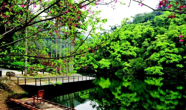 大溪步道路線 大溪步道路線