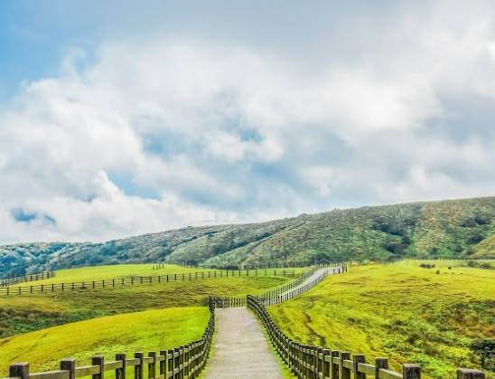 陽金公路自駕 陽金公路自駕