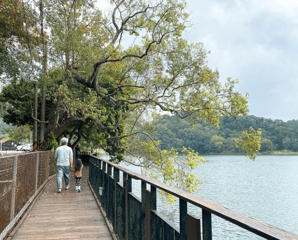 台灣中部自由行 台灣中部自由行