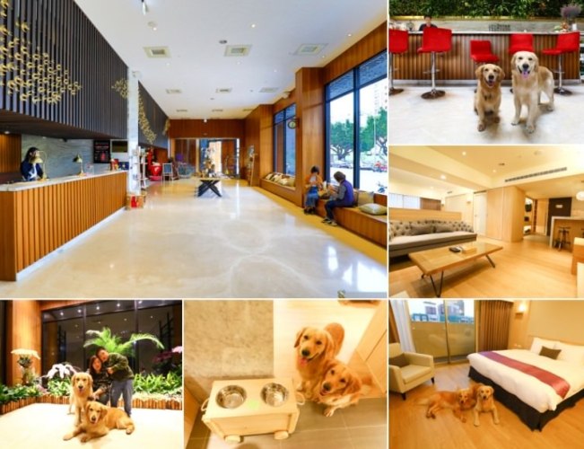 帶寵物住台中飯店 帶寵物住台中飯店