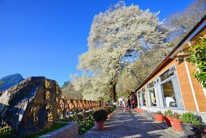 觀霧山莊交通 觀霧山莊交通