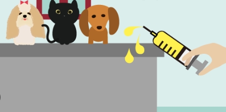 安樂死流程 安樂死流程