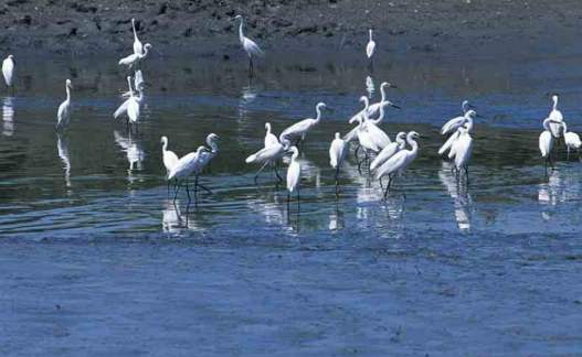 高雄餐廳推薦 高雄餐廳推薦