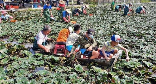 深度體驗活動推薦 深度體驗活動推薦