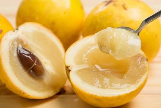 黃金果搭配食物 黃金果搭配食物