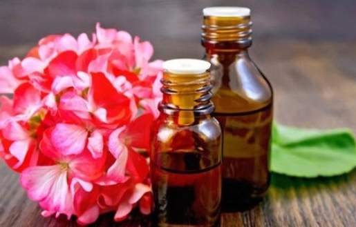 天竺葵精油副作用 天竺葵精油副作用