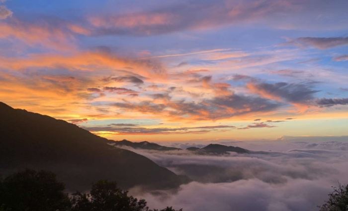 觀霧森林遊樂區 觀霧森林遊樂區