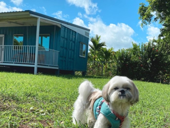 尖石寵物友善民宿 尖石寵物友善民宿