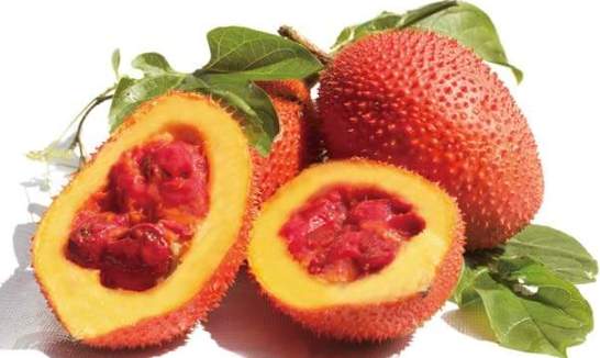 木鱉果油膠囊 推薦 木鱉果油膠囊 推薦