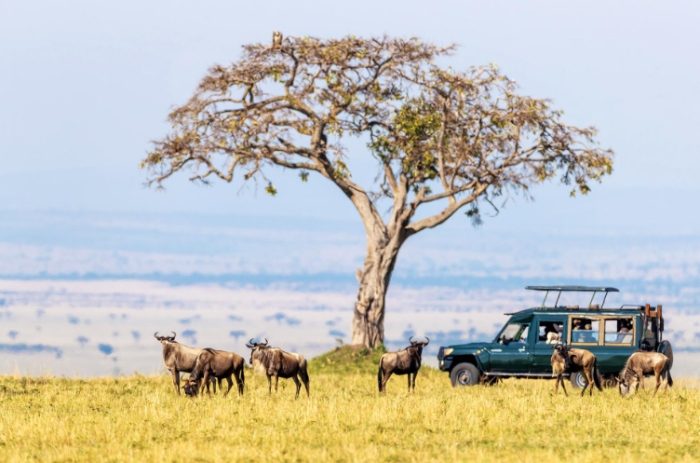 肯亞旅遊準備 肯亞旅遊準備