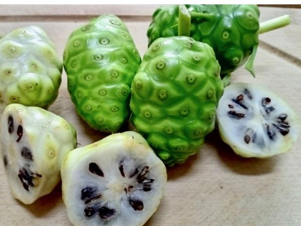 甲亢飲食諾麗果