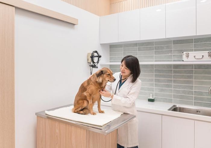 動物住院費用 動物住院費用