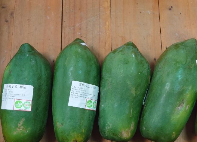 青木瓜煎餅食譜