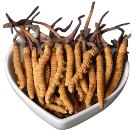 壯陽中藥推薦 壯陽中藥推薦