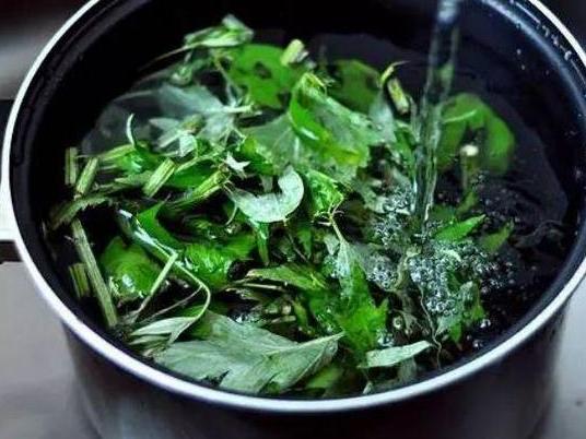 艾草洗頭好處 艾草洗頭好處