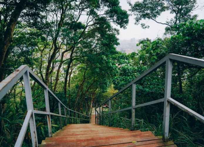 大安區旅遊 大安區旅遊