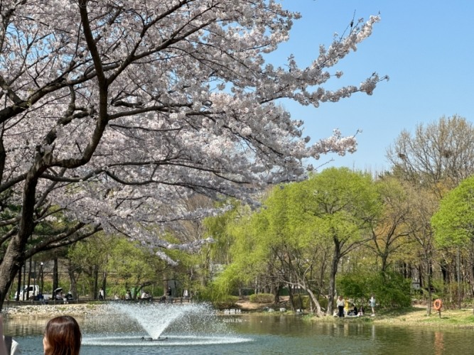 首爾自由行攻略 首爾自由行攻略