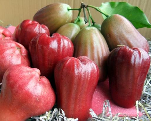 高雄伴手禮 高雄伴手禮