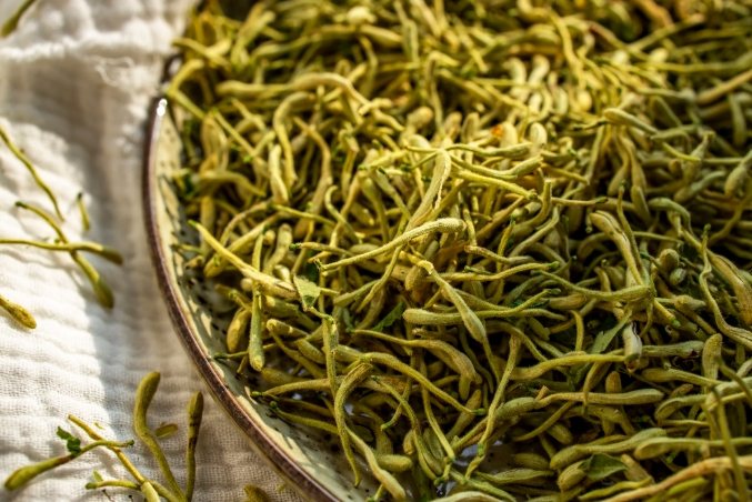 金銀花中醫應用 金銀花中醫應用