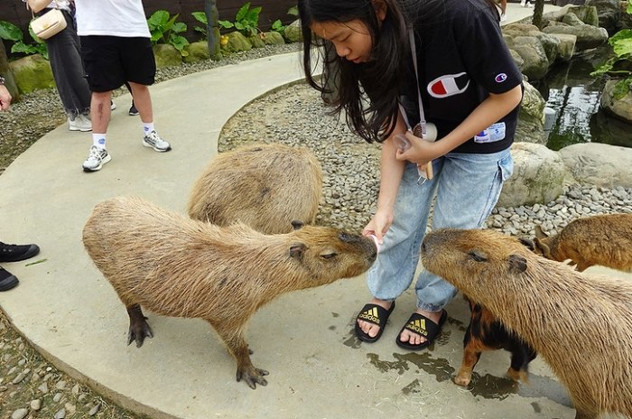 宜蘭親子景點 宜蘭親子景點