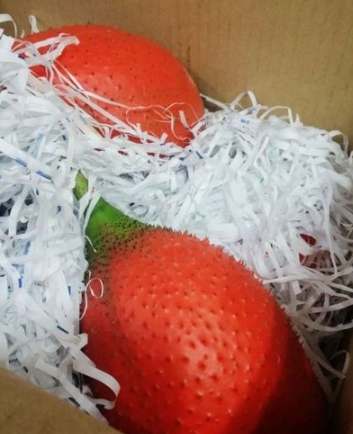 木鱉果皮茶功效 木鱉果皮茶功效