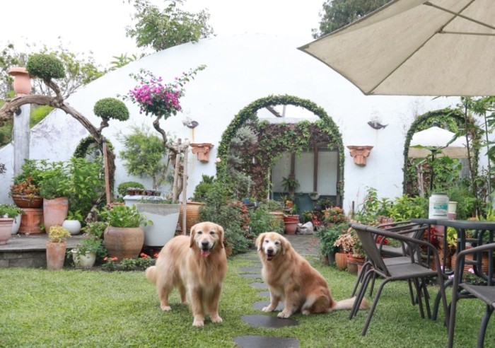 新竹寵物友善餐廳