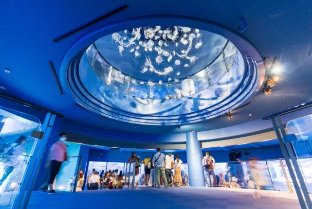 八景島餐廳推薦 八景島餐廳推薦