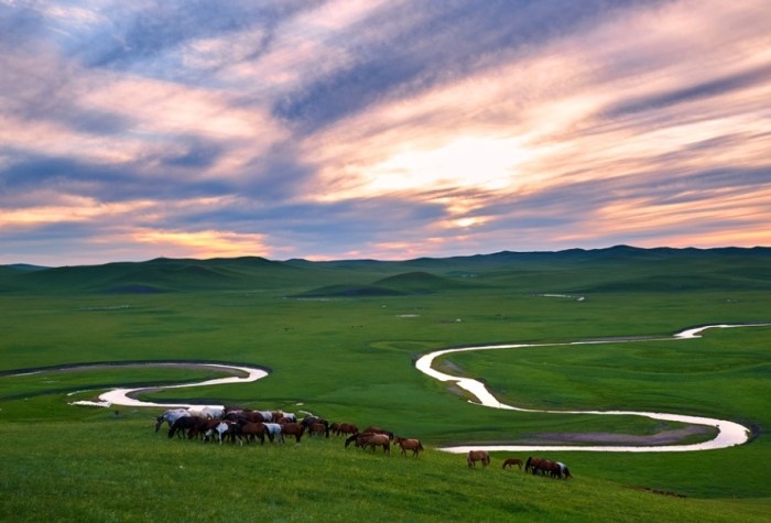 內蒙古草原體驗