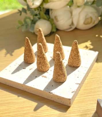 塔香安全指南 塔香安全指南