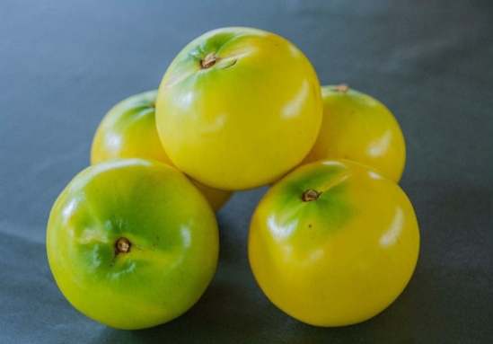 黃金果食用禁忌 黃金果食用禁忌