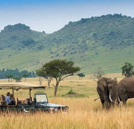 肯亞旅遊準備 肯亞旅遊準備