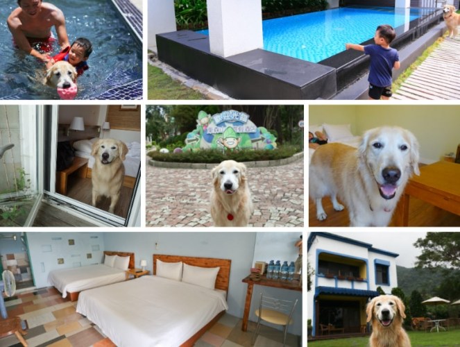 寵物友善住宿推薦 寵物友善住宿推薦