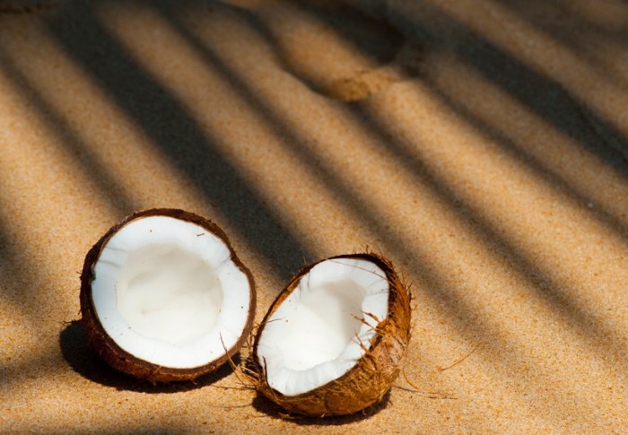 椰子油頭髮保養 椰子油頭髮保養