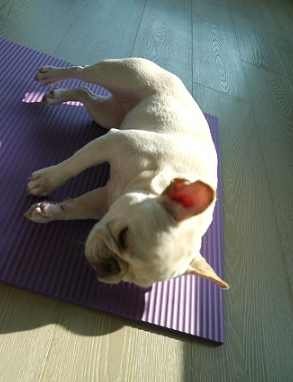 法鬥健康運動 法鬥健康運動